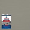 Thompsons Waterseal Wood Sealer Solid Coastal Gray Waterproofing Wood Stain and Sealer 1 gal TH.093901-16